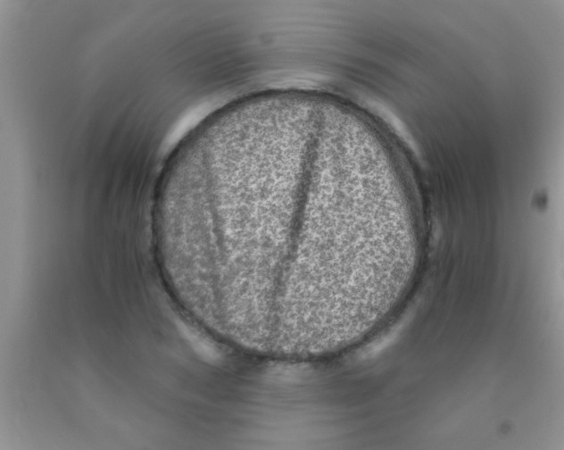 X0000091340978200709071215