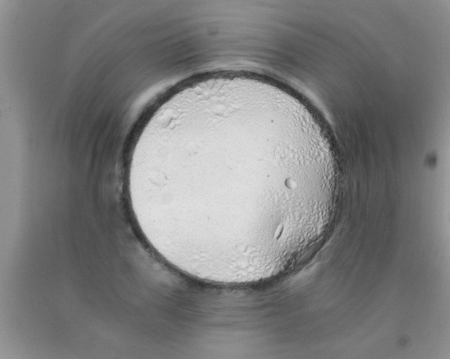 X0000091340979200709071215