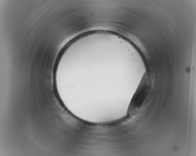 X0000091340980200709071215