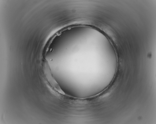 X0000091340981200709071215