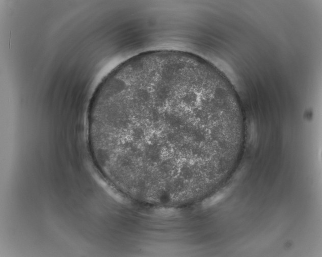 X0000091340982200709071215