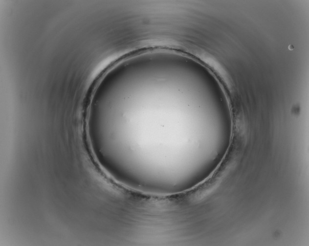 X0000091340983200709071215