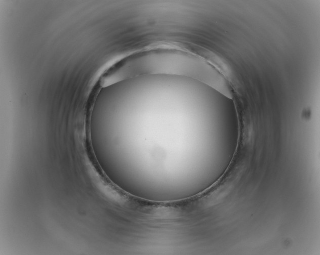 X0000091340984200709071214