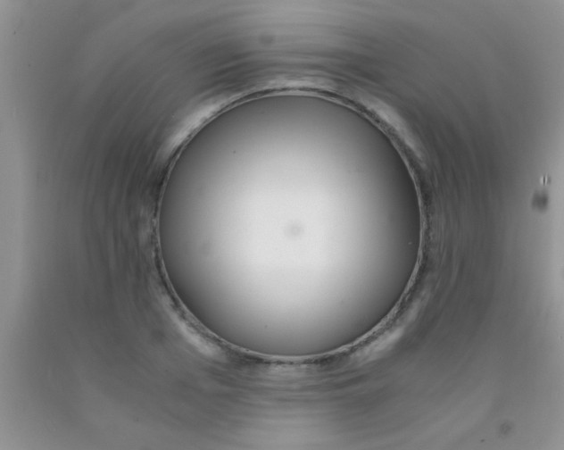 X0000091340985200709071214