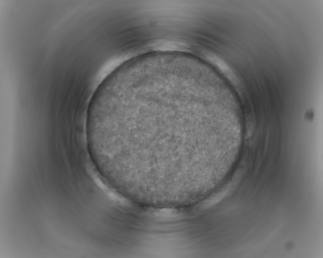 X0000091340986200709071214