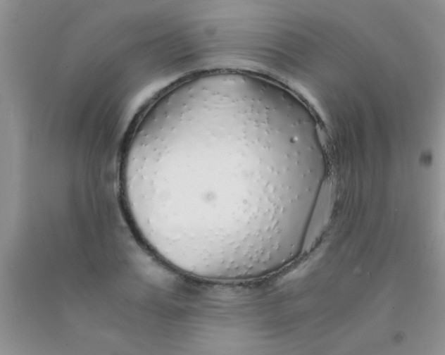 X0000091340987200709071214