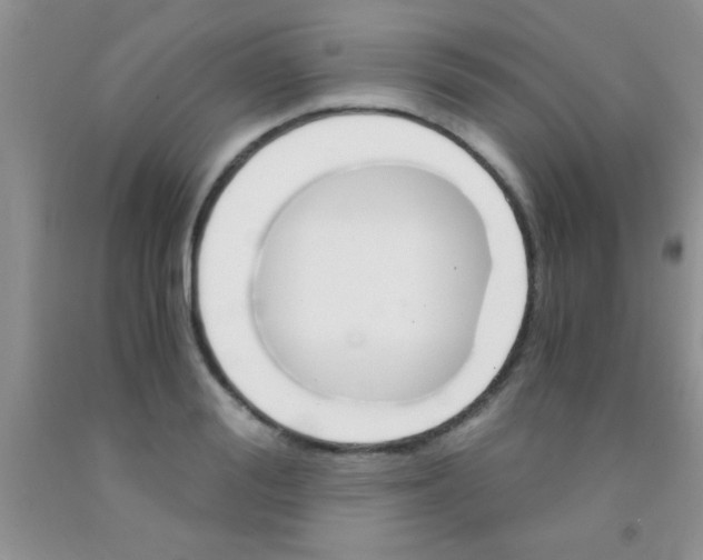 X0000091340988200709071214