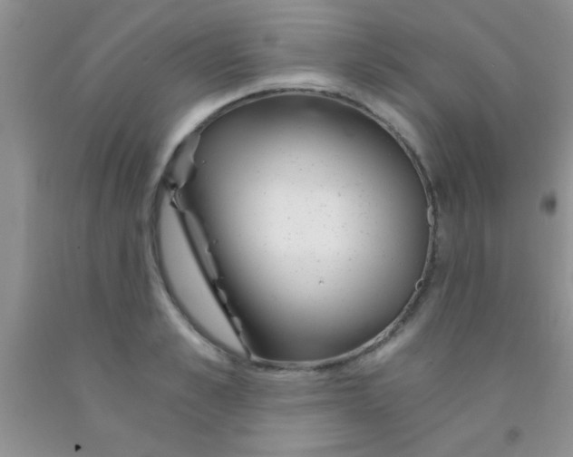 X0000091340989200709071214