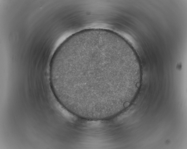 X0000091340990200709071214