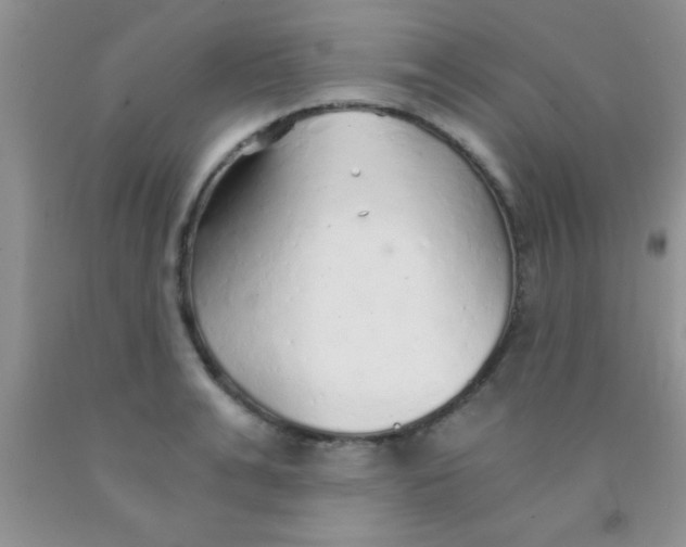 X0000091340991200709071214