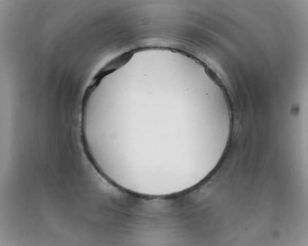 X0000091340992200709071214