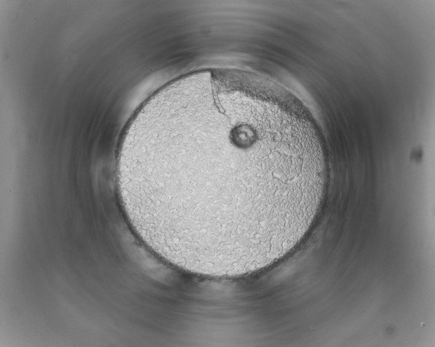 X0000091340994200709071214