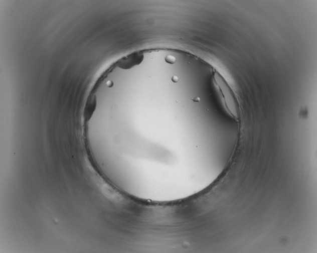 X0000091340996200709071214