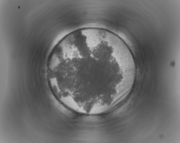 X0000091340998200709071214