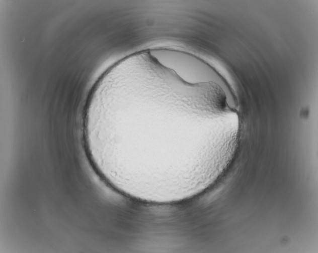 X0000091340999200709071214