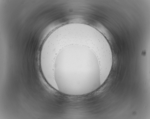 X0000091341000200709071214