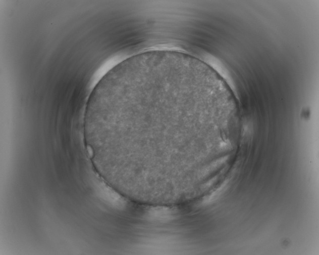 X0000091341002200709071214