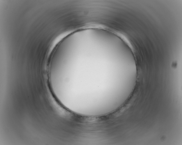 X0000091341003200709071214