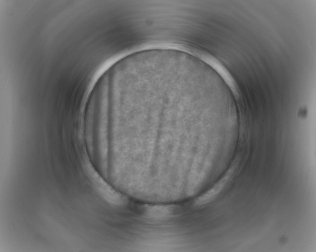 X0000091341004200709071214