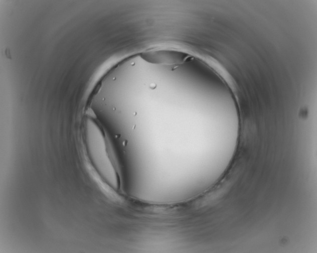 X0000091341005200709071214