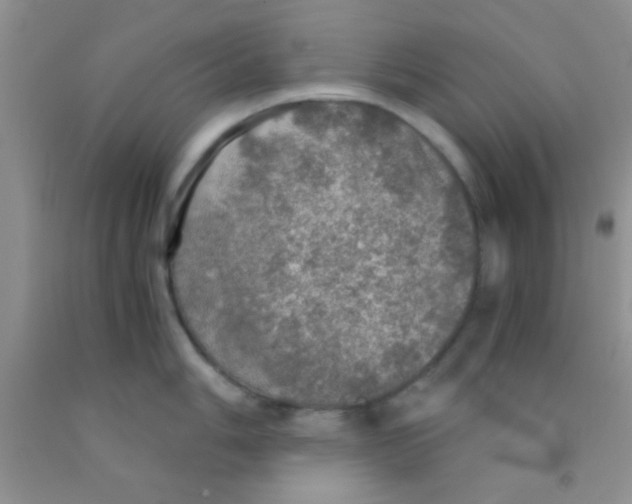 X0000091341006200709071214