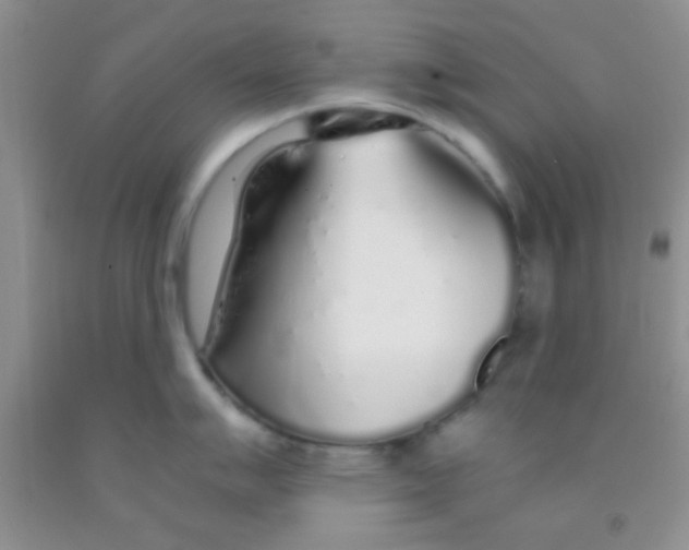 X0000091341007200709071214