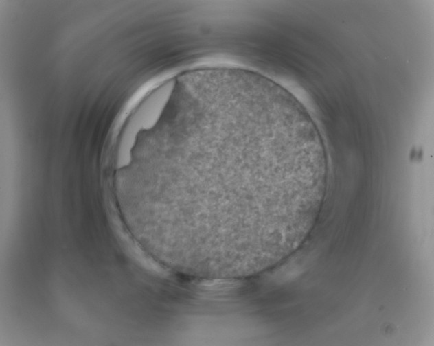 X0000091341008200709071214