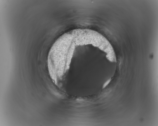 X0000091341009200709071213