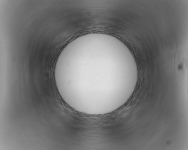 X0000091341010200709071213