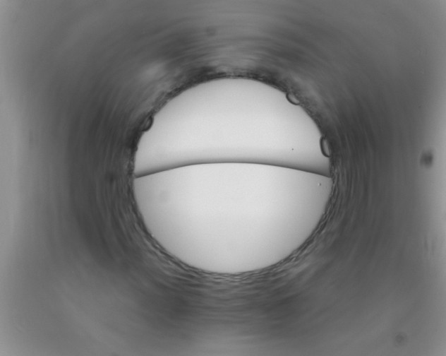 X0000091341012200709071213