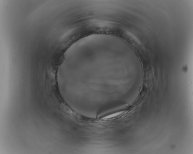 X0000091341013200709071213