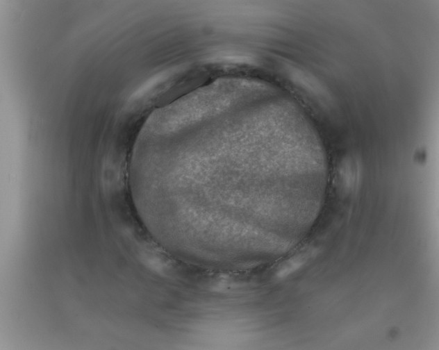 X0000091341014200709071213