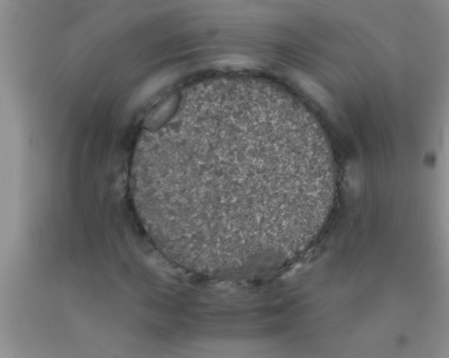 X0000091341015200709071213