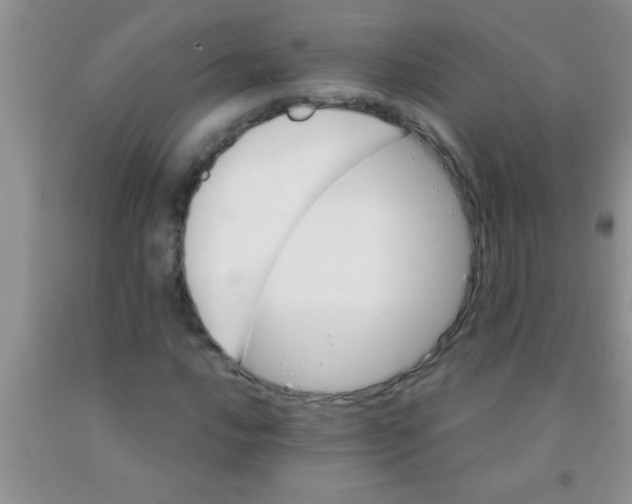 X0000091341016200709071214