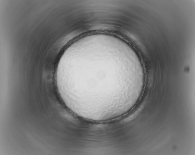 X0000091341017200709071214