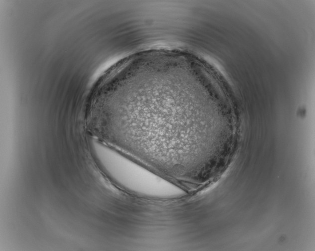 X0000091341018200709071214