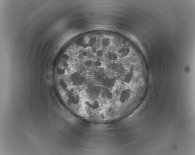 X0000091341019200709071214