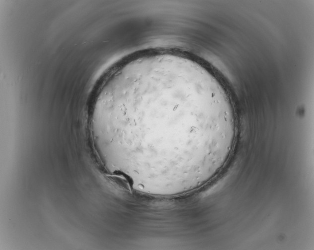 X0000091341021200709071214