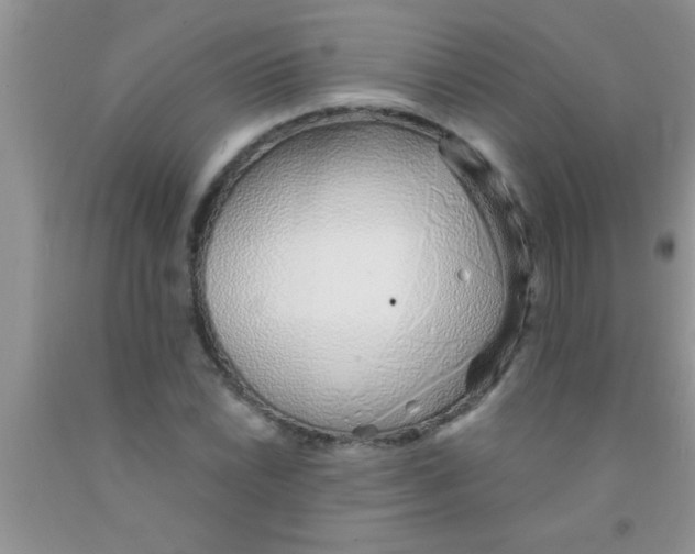 X0000091341022200709071214