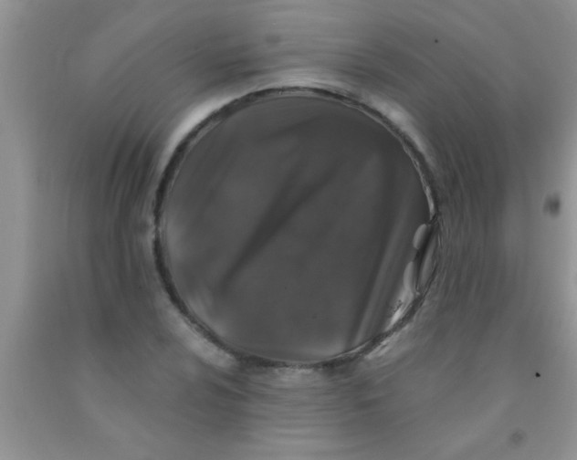 X0000091341024200709071214