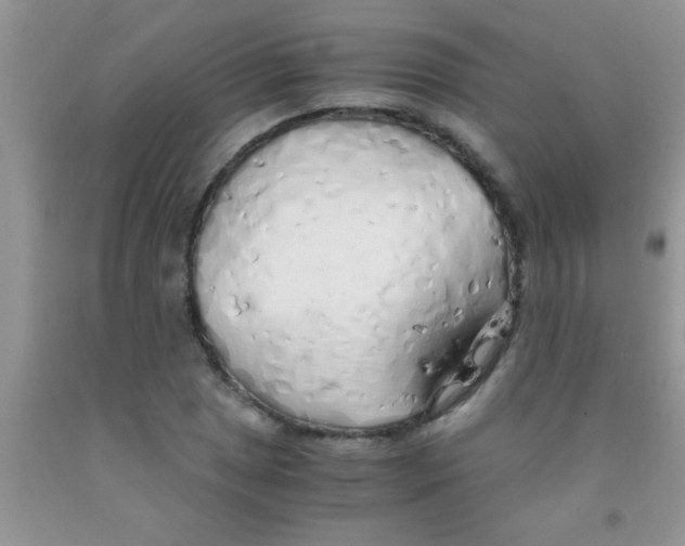 X0000091341025200709071214