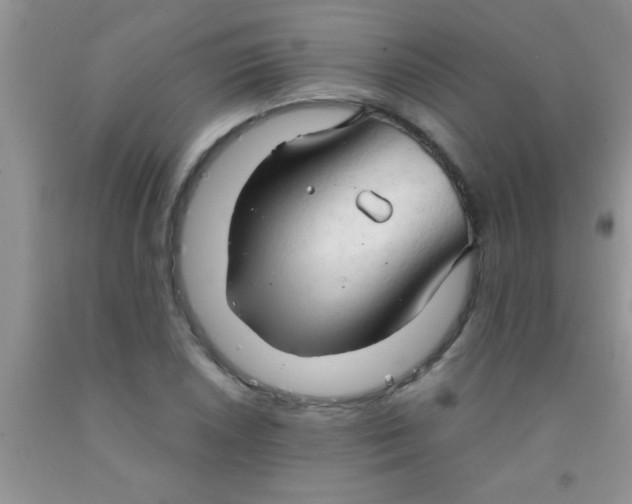 X0000091341026200709071214