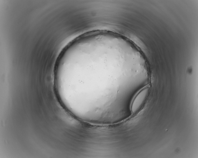 X0000091341028200709071214