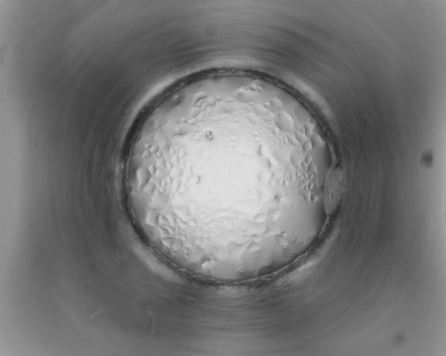 X0000091341029200709071214