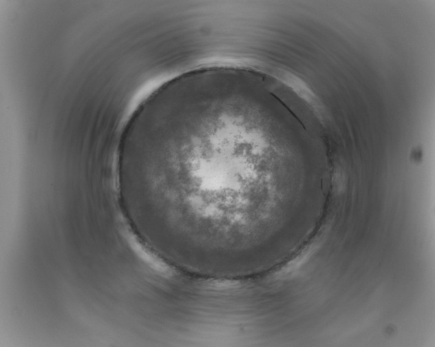 X0000091341030200709071214