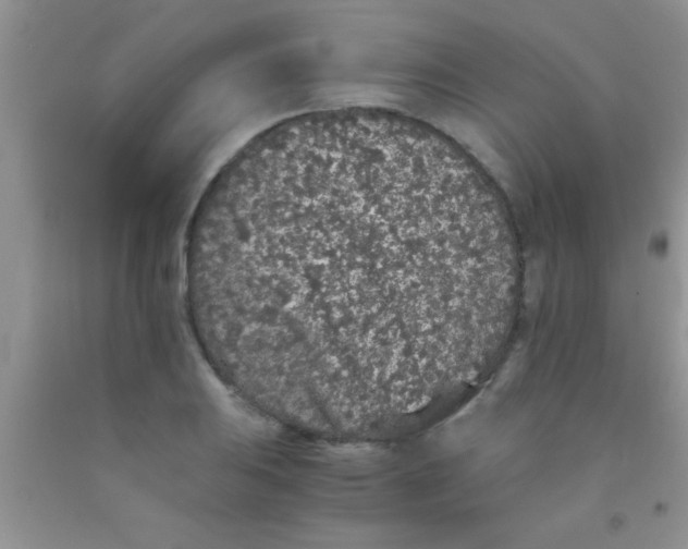 X0000091341031200709071214