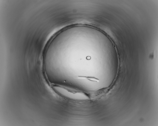 X0000091341032200709071214