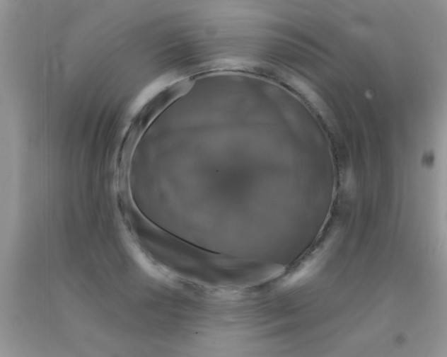 X0000091341034200709071214