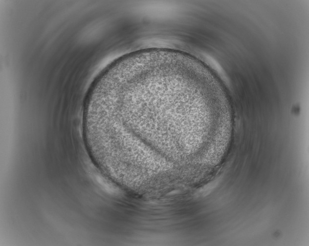 X0000091341035200709071214