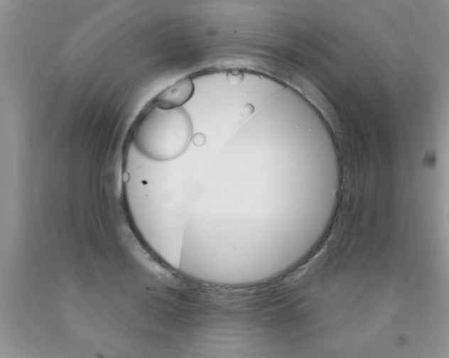 X0000091341036200709071214